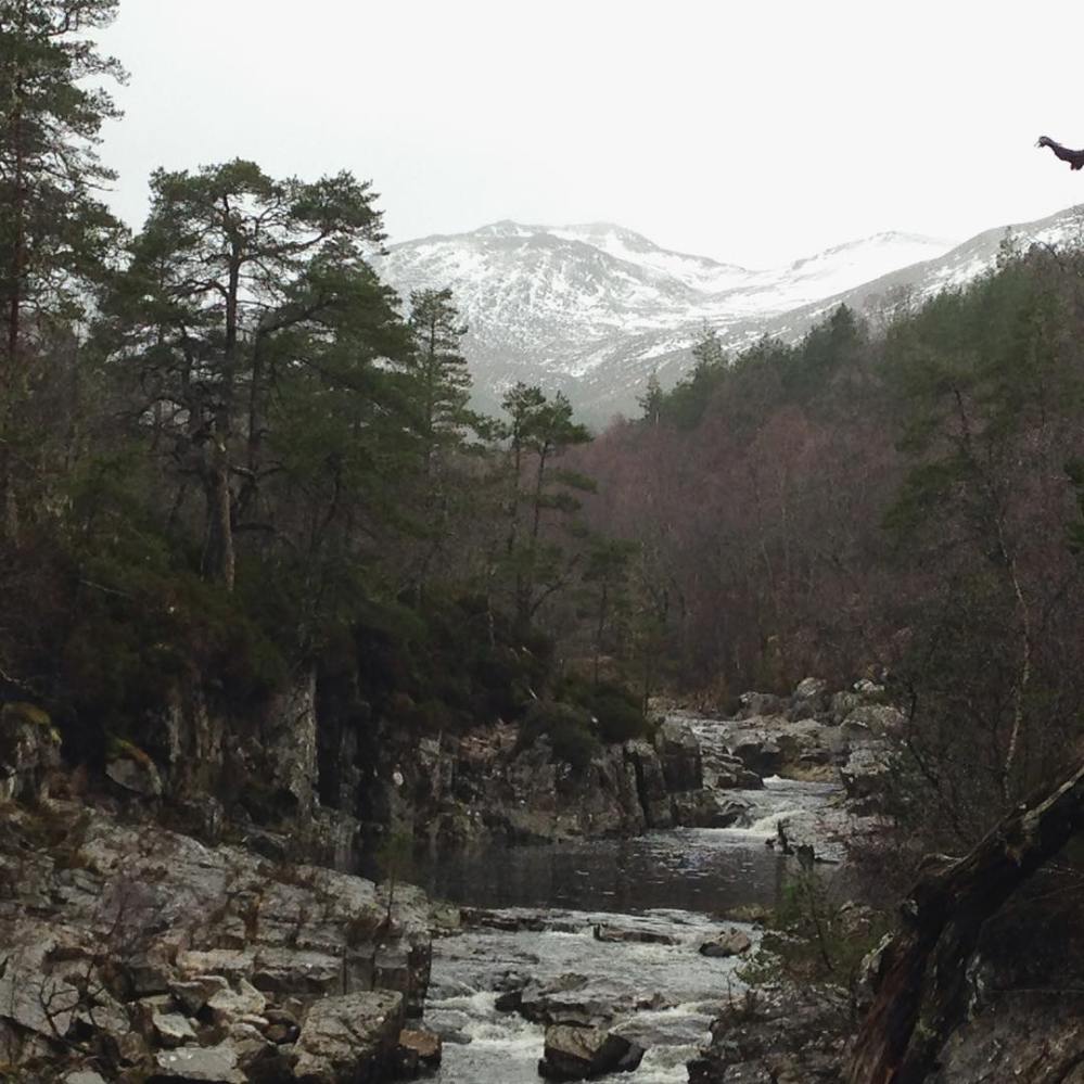 12697054_10208692125250472_3640345937965834754_o